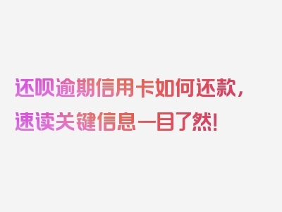 还呗逾期信用卡如何还款，速读关键信息一目了然！