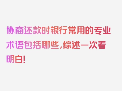 协商还款时银行常用的专业术语包括哪些，综述一次看明白！