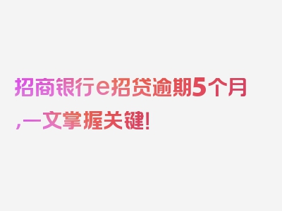 招商银行e招贷逾期5个月，一文掌握关键！