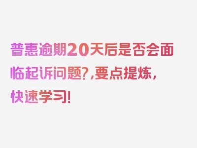 普惠逾期20天后是否会面临起诉问题?，要点提炼，快速学习！