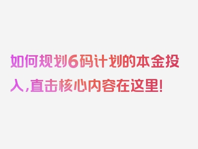 如何规划6码计划的本金投入，直击核心内容在这里！