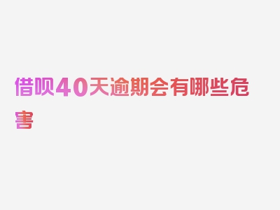 借呗40天逾期会有哪些危害