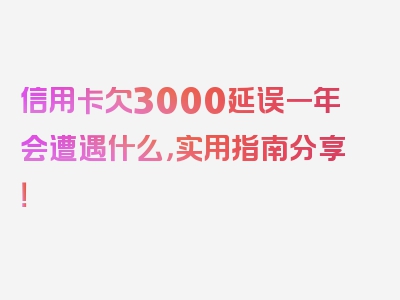 信用卡欠3000延误一年会遭遇什么，实用指南分享！