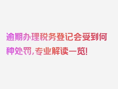 逾期办理税务登记会受到何种处罚，专业解读一览！