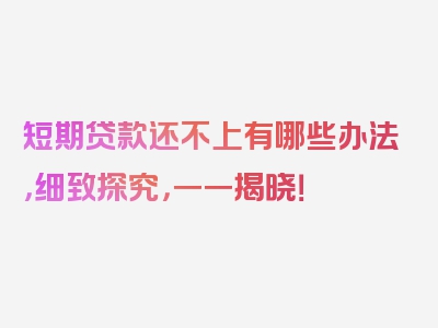 短期贷款还不上有哪些办法，细致探究，一一揭晓！