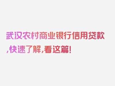 武汉农村商业银行信用贷款，快速了解，看这篇！