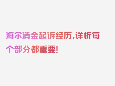 海尔消金起诉经历，详析每个部分都重要！