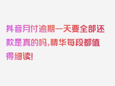 抖音月付逾期一天要全部还款是真的吗，精华每段都值得细读！