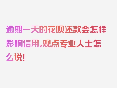 逾期一天的花呗还款会怎样影响信用，观点专业人士怎么说！