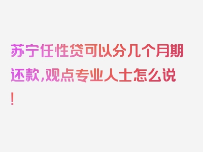 苏宁任性贷可以分几个月期还款，观点专业人士怎么说！