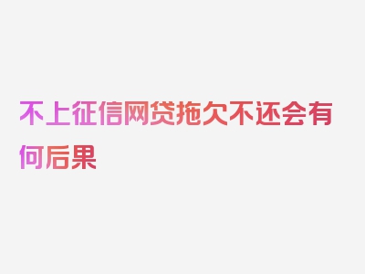 不上征信网贷拖欠不还会有何后果