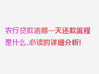 农行贷款逾期一天还款流程是什么，必读的详细分析！