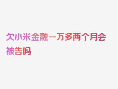 欠小米金融一万多两个月会被告吗