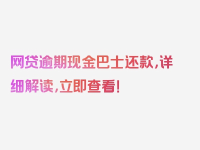 网贷逾期现金巴士还款，详细解读，立即查看！