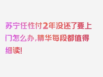 苏宁任性付2年没还了要上门怎么办，精华每段都值得细读！