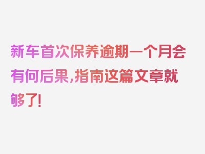 新车首次保养逾期一个月会有何后果，指南这篇文章就够了！