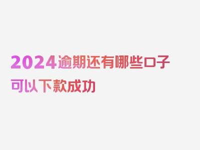 2024逾期还有哪些口子可以下款成功