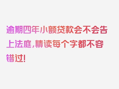 逾期四年小额贷款会不会告上法庭，精读每个字都不容错过！