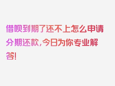 借呗到期了还不上怎么申请分期还款，今日为你专业解答!