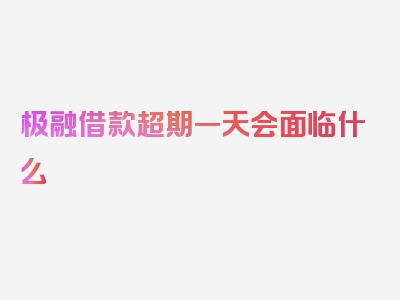 极融借款超期一天会面临什么