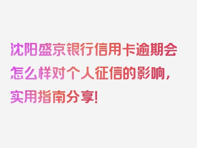 沈阳盛京银行信用卡逾期会怎么样对个人征信的影响，实用指南分享！