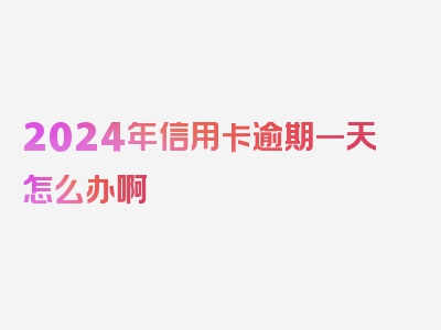 2024年信用卡逾期一天怎么办啊