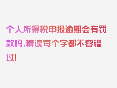 个人所得税申报逾期会有罚款吗，精读每个字都不容错过！