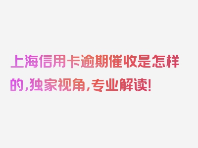 上海信用卡逾期催收是怎样的，独家视角，专业解读！