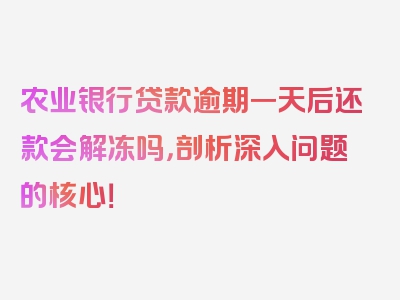 农业银行贷款逾期一天后还款会解冻吗，剖析深入问题的核心！