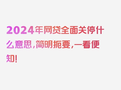 2024年网贷全面关停什么意思，简明扼要，一看便知！