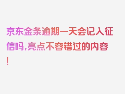 京东金条逾期一天会记入征信吗，亮点不容错过的内容！