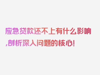 应急贷款还不上有什么影响，剖析深入问题的核心！