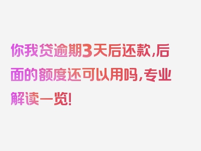 你我贷逾期3天后还款,后面的额度还可以用吗，专业解读一览！