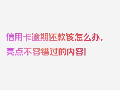 信用卡逾期还款该怎么办，亮点不容错过的内容！