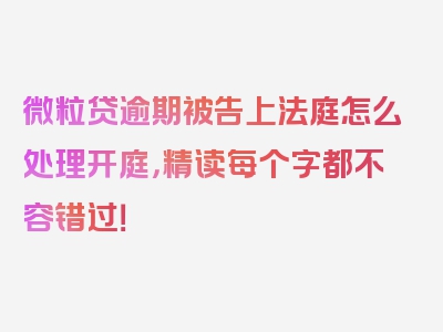 微粒贷逾期被告上法庭怎么处理开庭，精读每个字都不容错过！