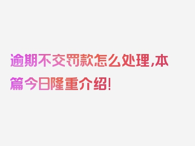 逾期不交罚款怎么处理，本篇今日隆重介绍!