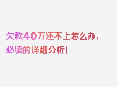 欠款40万还不上怎么办，必读的详细分析！