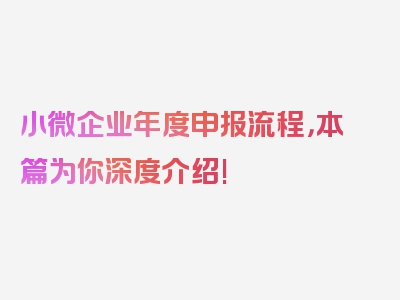 小微企业年度申报流程，本篇为你深度介绍!