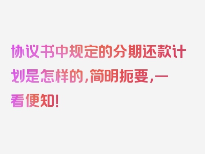 协议书中规定的分期还款计划是怎样的，简明扼要，一看便知！