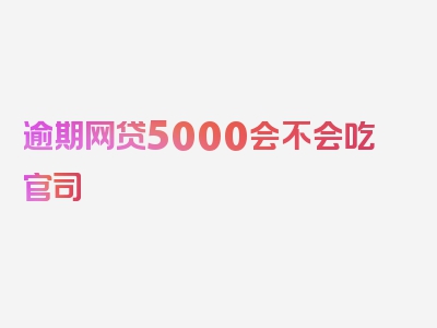 逾期网贷5000会不会吃官司