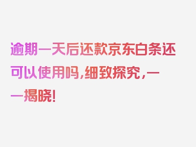 逾期一天后还款京东白条还可以使用吗，细致探究，一一揭晓！