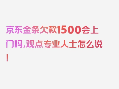 京东金条欠款1500会上门吗，观点专业人士怎么说！