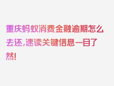 重庆蚂蚁消费金融逾期怎么去还，速读关键信息一目了然！