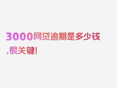 3000网贷逾期是多少钱，很关键!