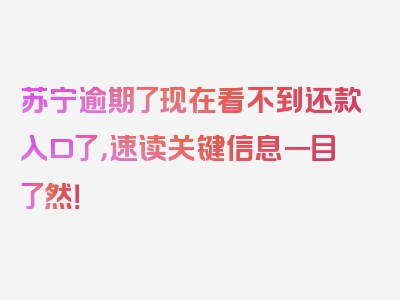 苏宁逾期了现在看不到还款入口了，速读关键信息一目了然！