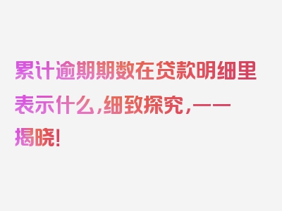 累计逾期期数在贷款明细里表示什么，细致探究，一一揭晓！