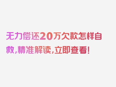 无力偿还20万欠款怎样自救，精准解读，立即查看！