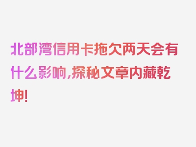 北部湾信用卡拖欠两天会有什么影响，探秘文章内藏乾坤！