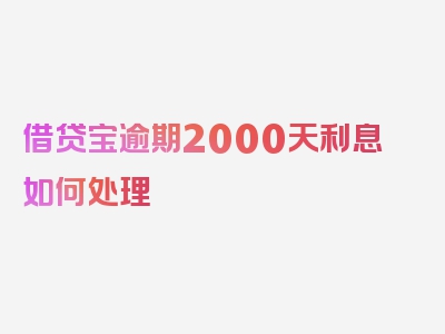 借贷宝逾期2000天利息如何处理