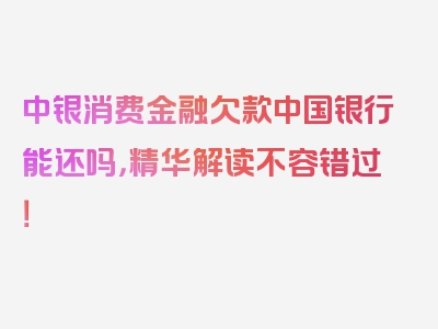 中银消费金融欠款中国银行能还吗，精华解读不容错过！